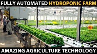 FULLY AUTOMATED HYDROPONIC FARM | Modern Hydroponic Farming | Amazing Agriculture Technology