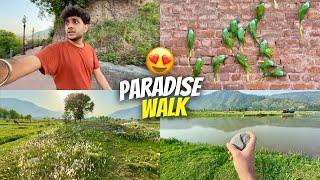 A Morning walk in Paradise called Poonch ️