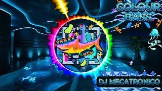 DJ MECATRONICO - COLOUR BASS MUSIC  | #colourbass | Euphoric ColorBass