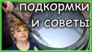 Если ТЫ огородник или садовод, ТЫ просто обязан знать ЭТО!!!