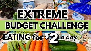 EXTREME GROCERY BUDGET CHALLENGE with MEALS