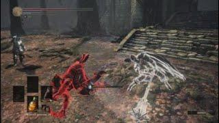 Dark Souls 3 invasions SL30