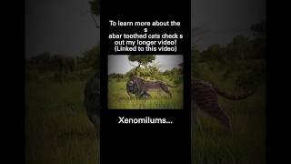 The deadliest saber toothed cats #sabertooth  #smilodon  #prehistoric  #extinct  #animals #dinofelis