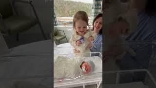 I've been waiting 41 weeks to capture this moment  my hands & heart are so full! ️Pop Pulse Nation