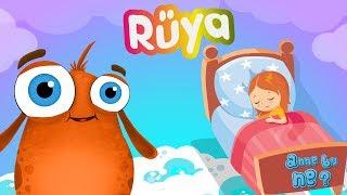 Neden Rüya Görürüz? | Okul Öncesi Eğitici Animasyon | Anne Bu Ne?