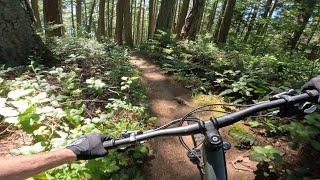 Overbiking VS Underbiking - Can The Spur Go Full Enduro?