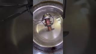 Watch How A Thermostat Works In Your Car #motorcarnut #yourcar #mechancial #diy #engineproblem