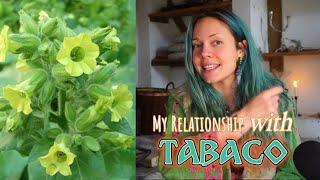 Plant Connections: The Medicine of Tabaco/Mapacho [Nicotiana Rustica]