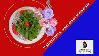 7 λουλούδια (open plant terrarium)