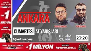 12 Ekim 2024 // Ankara At Yarışı Tahminleri // Hakan Çakmak - Ahmet Yalçınkaya (Robin)