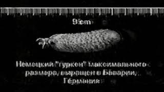 Рекламный блок(НТВ, 21.12.2005) (7)