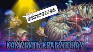 Как победить Крабулона за призывателя? Terraria Calamity Mod