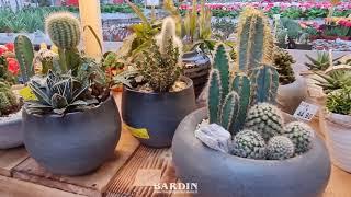 Il Mondo delle Orchidee e delle Piante Grasse 2021 Bardin Garden Store