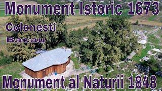 Doua Monumente intr-un loc: Monument Istoric 1673 si Monument al Naturii 1848 in Colonesti Bacau