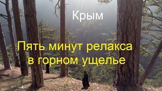 Крымские горы. Вечерняя дымка в ущелье