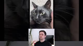 Try Not to Laugh Challenge 78  #funny ⁠#shorts #viral