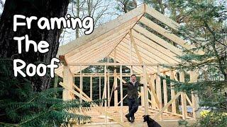 Framing The Roof For My Cabin In The Forest I Building Vlog ep. 3