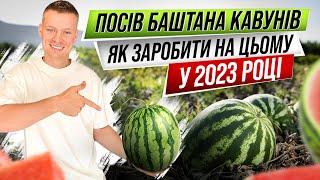 Зароблю 1 000 000 $ на кавунах ! Баштан без поливу . Агробізнес в Україні