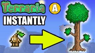 Terraria how to INSTANTLY GROW TREE | Terraria how to get Fertilizer