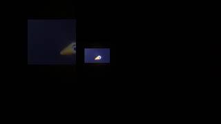 A special video to SlimBranMii 15.