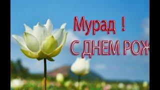 Мурад!!!  С днём рождения !!!  Хорошее настроение