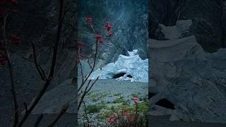 A beautiful danger.  #shorts  #nature #icecaves