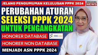 PERUBAHAN DAN TAMBAHAN ATURAN PPPK 2024 BAGI HONORER DATABASE DAN NON DATABASE UNTUK JADI PPPK 2024