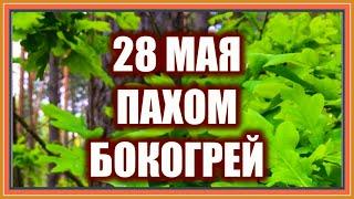 28 мая Пахом Бокогрей. Какая погода на Пахома, такое будет лето