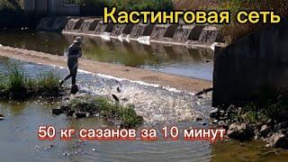 За 1 заброс 15 сазанов  на кастинговую сеть. big kast net fishing