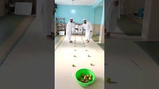 Dam Mast Qalandar#ytshorts#trendingshorts#shortsfeed#viral#islamic#shorts#islamicstatus#viralreels