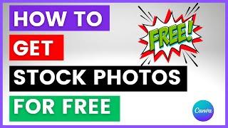 How To Get Stock Photos For Free? [in 2024] (Using Canva)