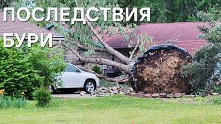 Три дня без света и интернета после бурелома. Мичиганские будни