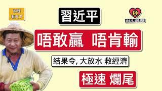 習近平「唔敢贏. 唔肯輸」！結果令「大放水」救經濟，「極速爛尾」！