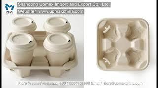Biodegradable food tableware Shandong Upmax Import and ExportCo., Ltd.