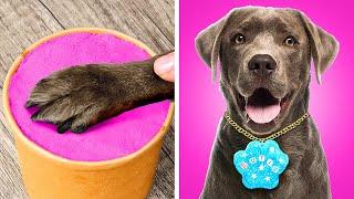 Popular and Unique DIYs for Pets  Smart Hacks and Gadgets for Pet Owners 