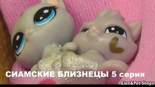 LPS Сиамские близнецы 5 серия