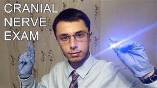 ASMR Cranial Nerve Exam With Dr Kenshi