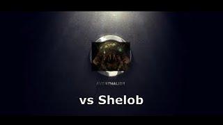 Lotro Remmorchant T3 - Avorthalier vs Shelob | Warden POV