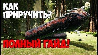 КАК ПРИРУЧИТЬ ВАСИЛИСКА? ОБЗОР УМЕНИЙ! — ПОЛНЫЙ ГАЙД!/BASILISK TAMING ► Ark: Survival Evolved #10