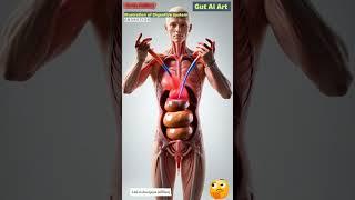 Digestive System Animation | Gut AI Art | 245