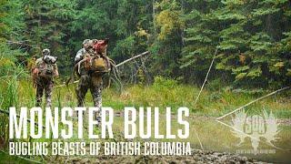 British Columbia - Elk Hunt the Rut