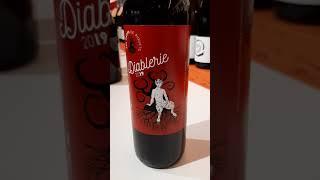 Domaine Les Hauts de Riquets Côtes de Duras rouge Diablerie 2019