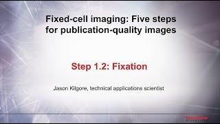 1.2 Fixation–Fixed cell imaging: 5 steps for publication-quality images