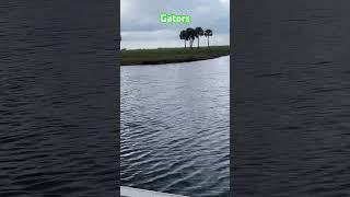 #ycfairboats #boatbuilding #diy #gators #florida #airboat #boat #diy #howtoshorts #orlando #central