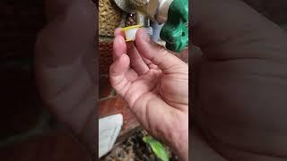 Install Rain Point System