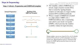 PacBio Single-Molecule Real-Time (SMRT) Sequencing Technology