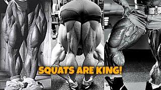 TOM PLATZ WISDOM | CALVEZILLA