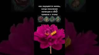 как ощущается жизнь #ck3 #crusaderkings3 #ck3мемы #мемы