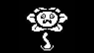 POV: UCDR flowey