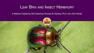 How Brix Levels Impact Insect Pressure on Plants | Dr. Thomas Dykstra